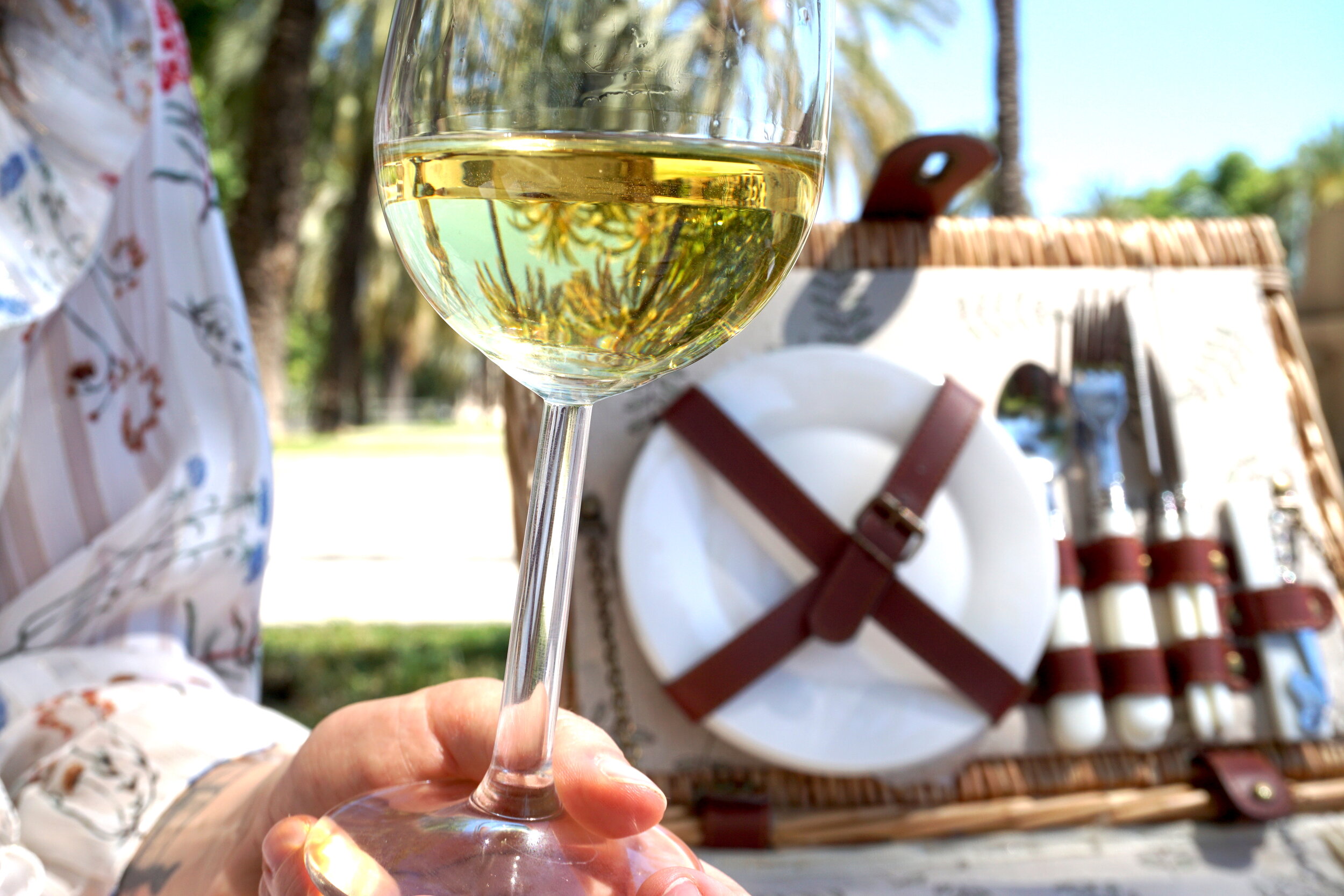 Private winery tours from barcelona to penedès, cava, priorat or emporda. Barcelona Wine Tasting Vineyard Tours Salut Wine Studio