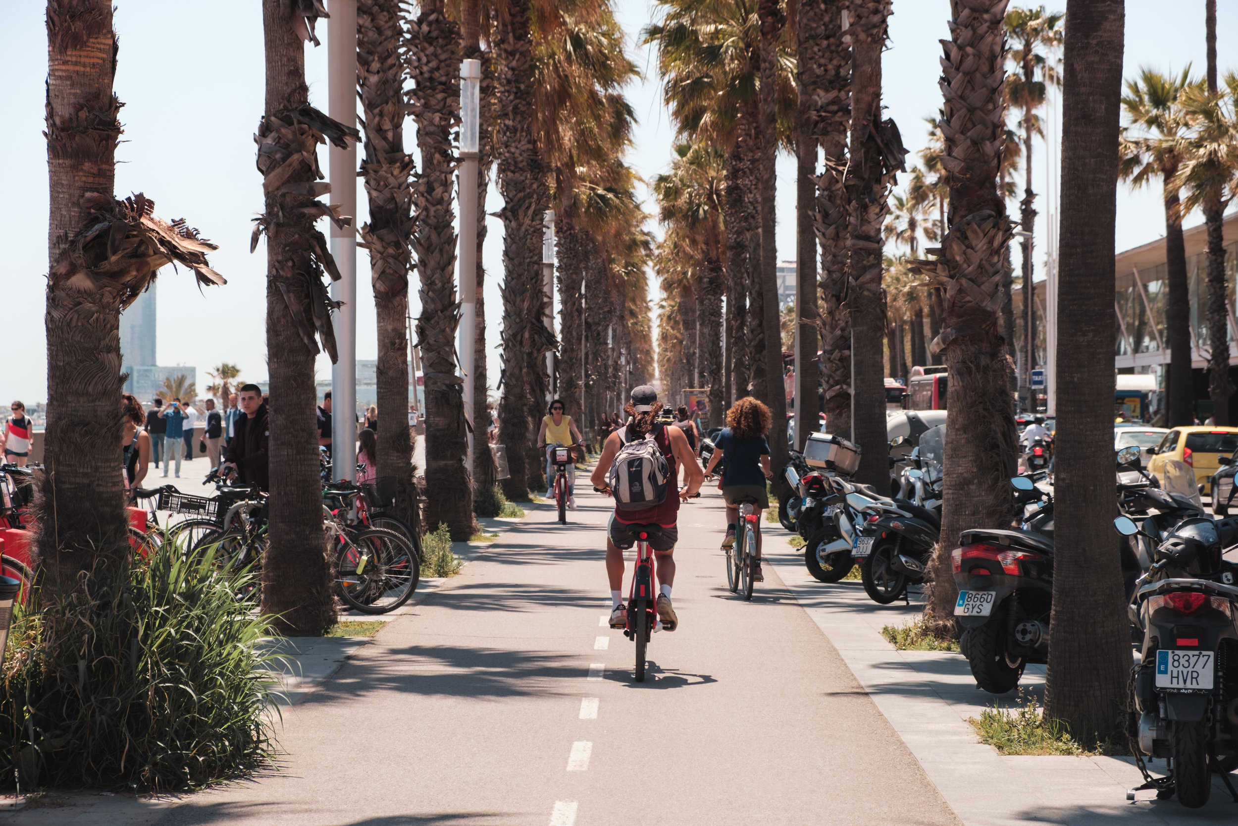 Thieves are always on the lookout for bikes left unattended, and a bike without a lock is an easy target. The Best Barcelona Bike Tours For 2019 Buena Vista Tours