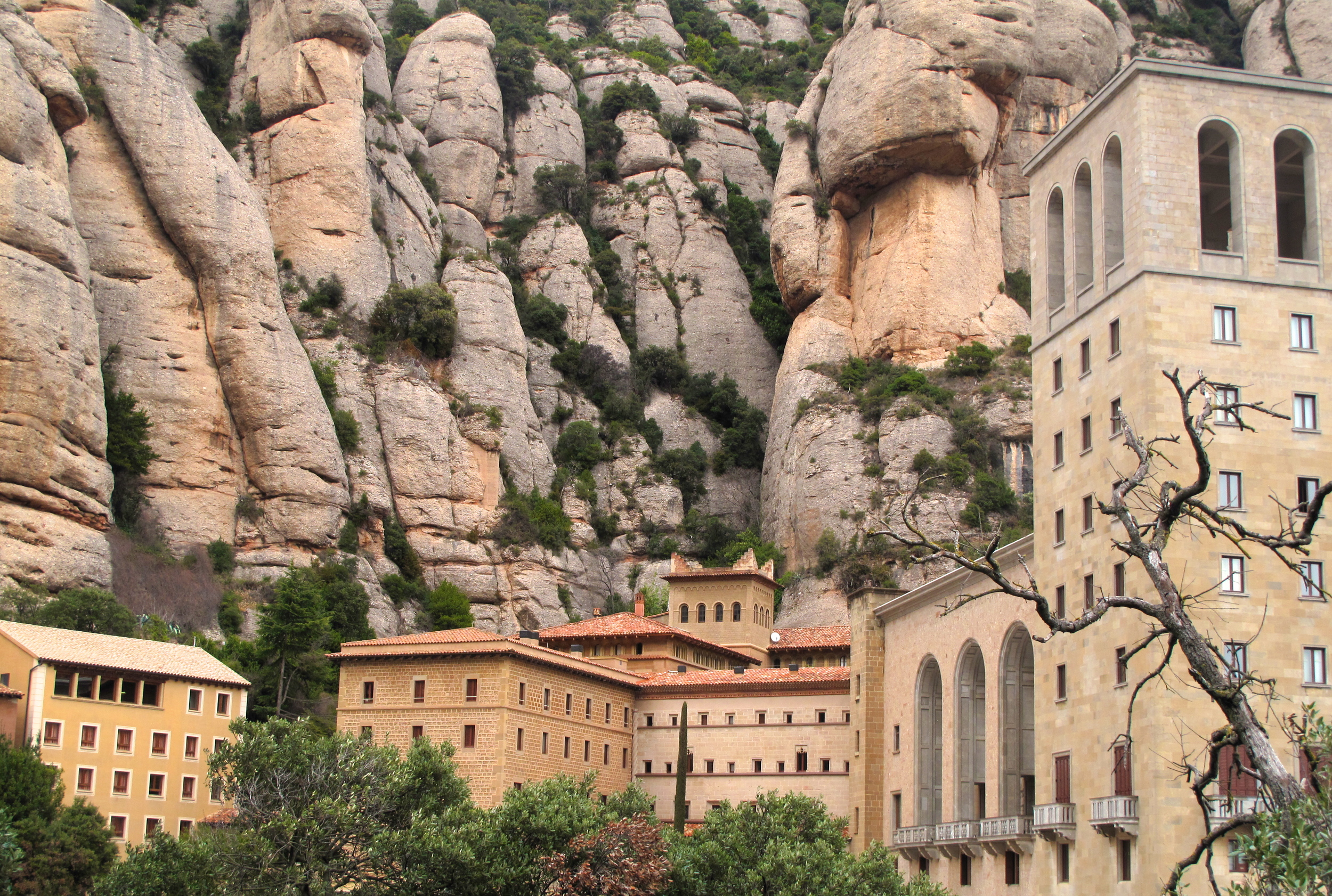 We will take care of the whole logistics. Montserrat Life Gazing